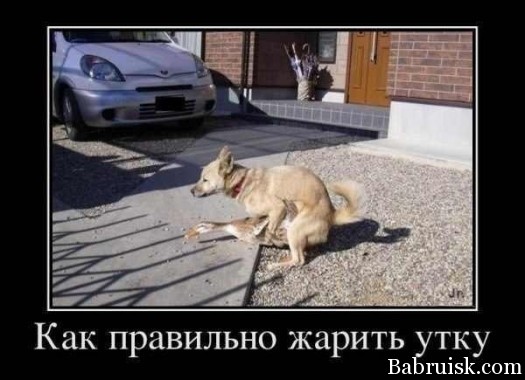 9dff2d6e67f8