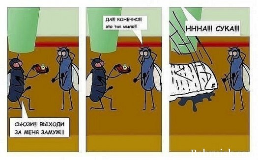 хочет замуж