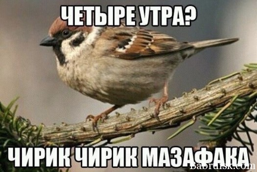 Настоящей жефтон0