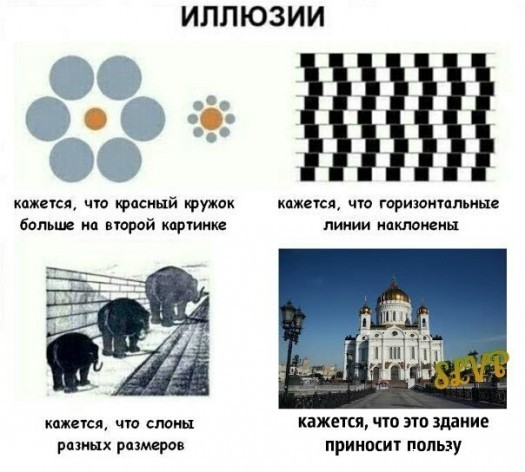 православные пидорасы