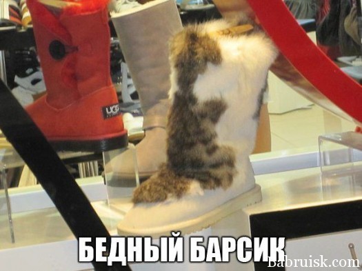 Барсик пашол па ногам