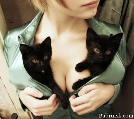 Котоморгинт1
