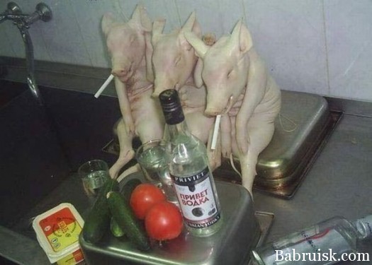 Прадалжаем висилицца