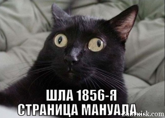 Читаем внимательно