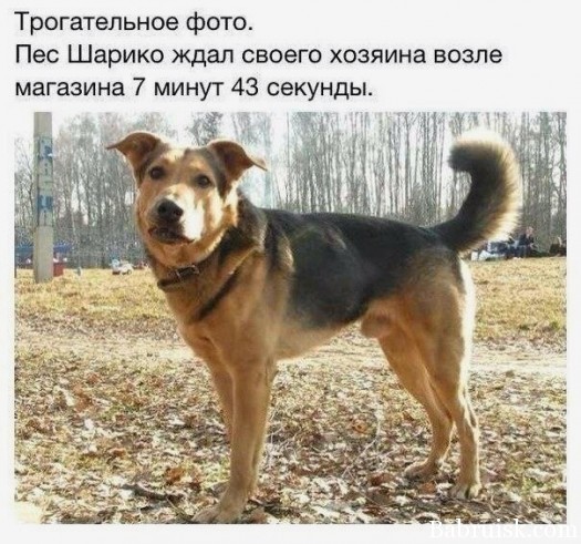 0q6M_OvI6u8