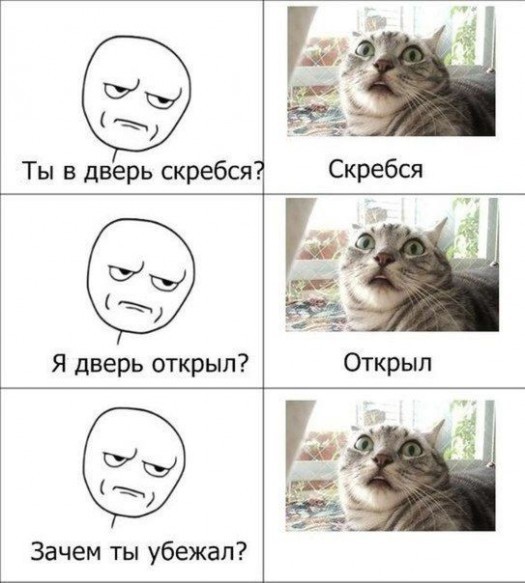 Аццкей котег