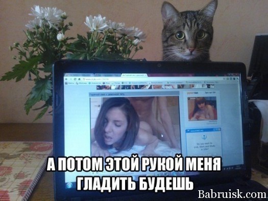 Вместо тысячи штор