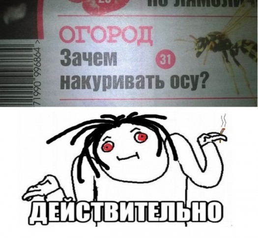 Курлык 2