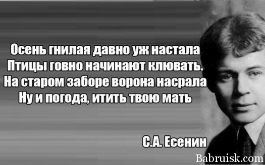 По заказу гизметео