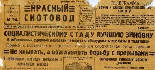 красный скотовод