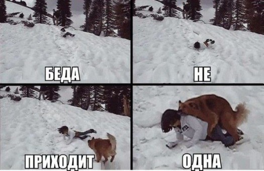 Атбарбосил8