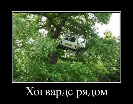 Нехилый у кавота штаб8