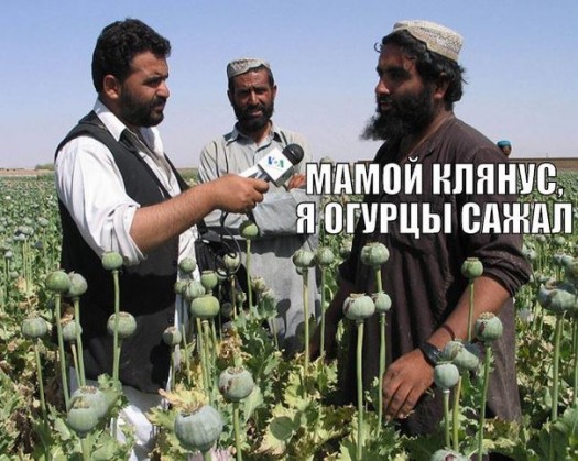 Только правильные экономические реформы