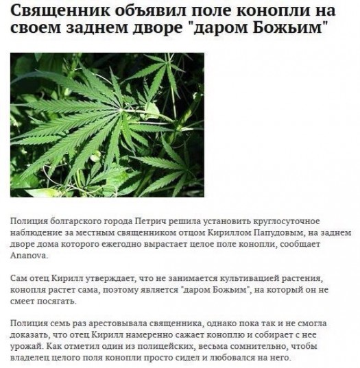 Священный шалуфат_k