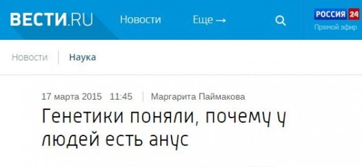 977549_original
