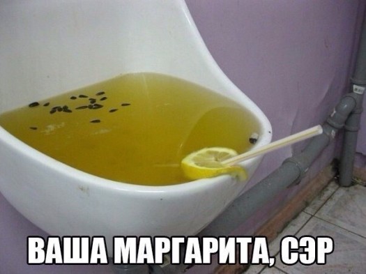 В букенгемскам дворцэ бес изменненийus