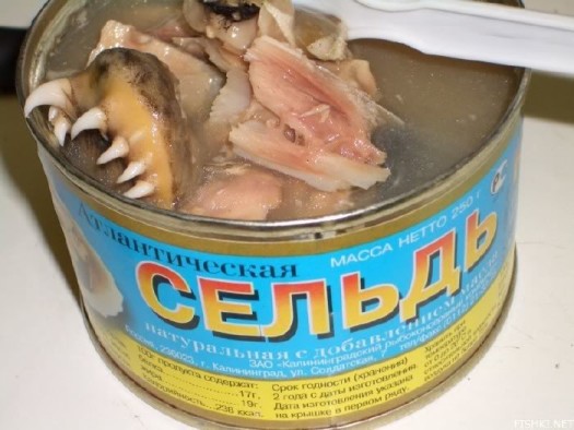 сельдь