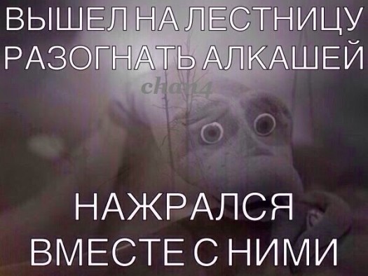 нажрался с алкашами