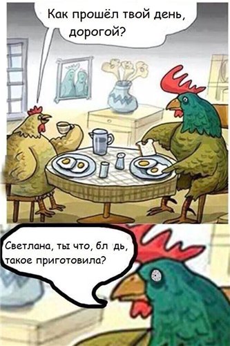 куры наркоманы