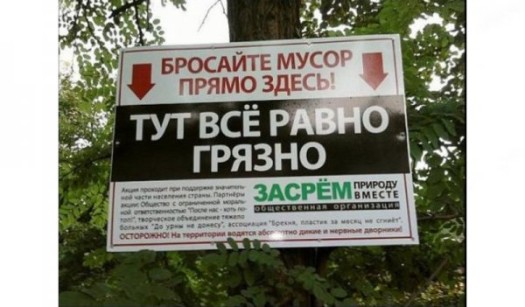 чуй 8