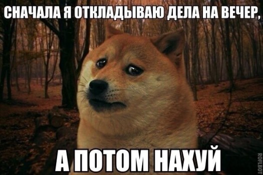 Сначала я откладываю дела на вечер