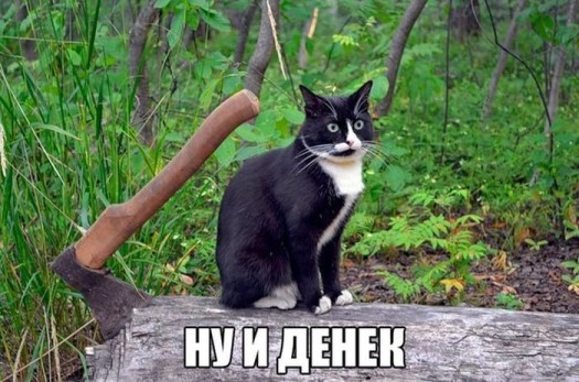 апаснасцэ155