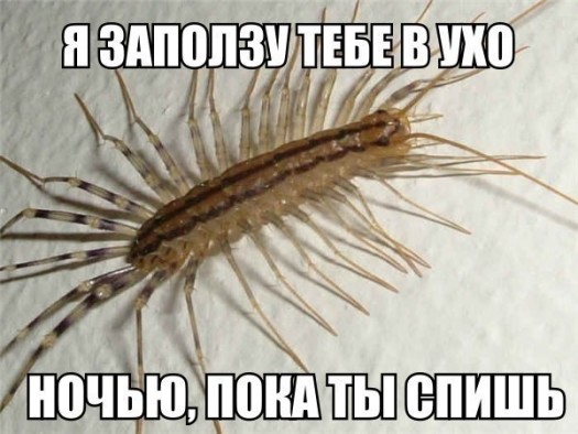 апаснасцэM