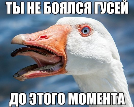 апаснасцэc