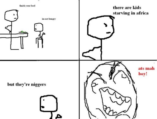 niggers