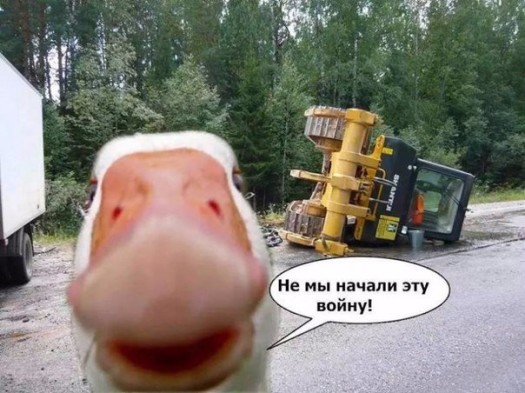 Итак началось0