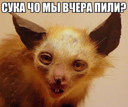 МоргентU