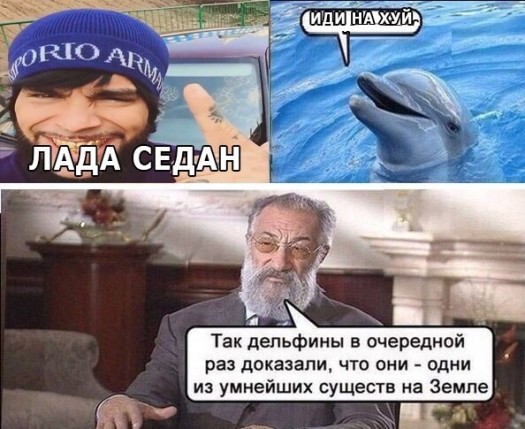 Критика падводных жывотных.