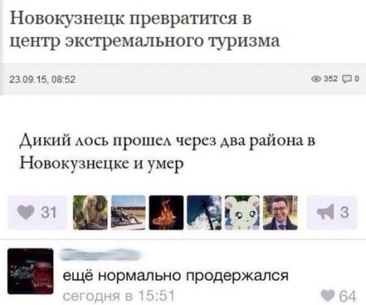 Лось не прошолs7