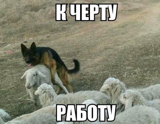 Моргенталь