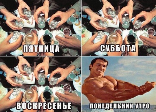 Панидилог