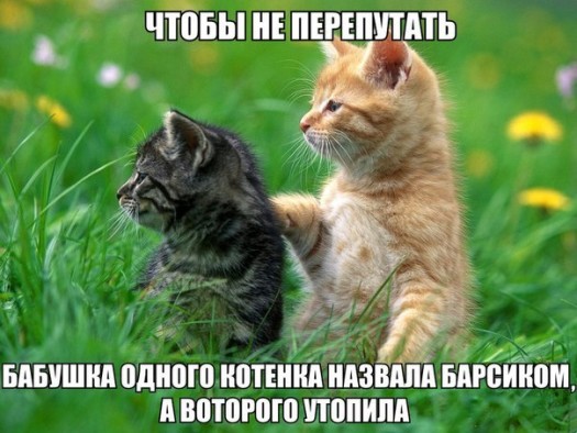 Фсё логична хуле