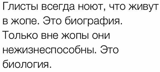 глисты