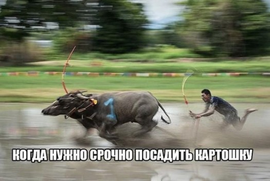 ГТО в беларуси