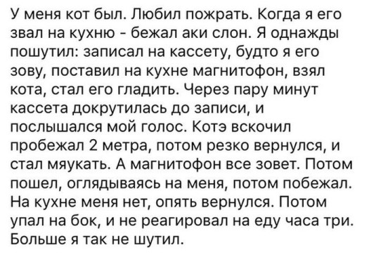 Жевотнаводам вназаметку0