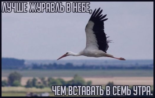 100500