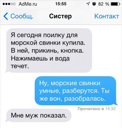 поилка морская свинка