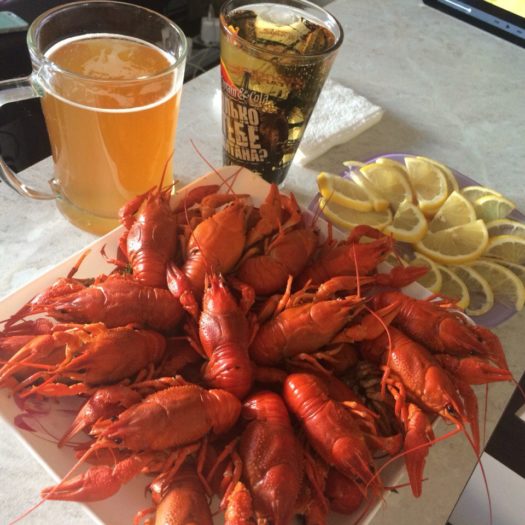 imYP3furJPs