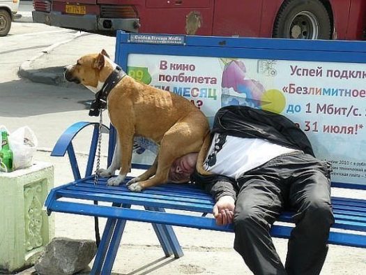 В понедельнег под прикрытием