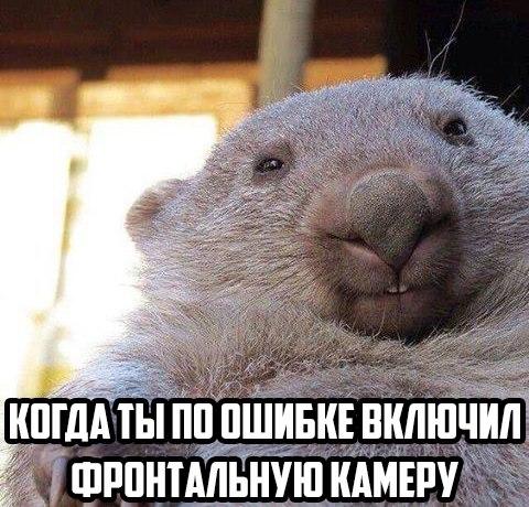 когда ты по ошибке включил фронтальную камеру