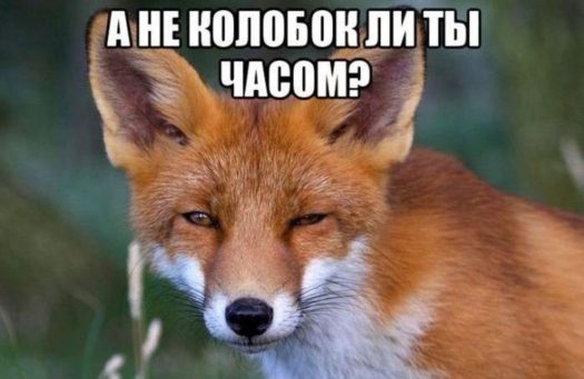 а не колобок ли ты часом