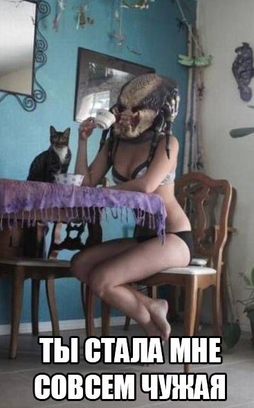 Бегуд года