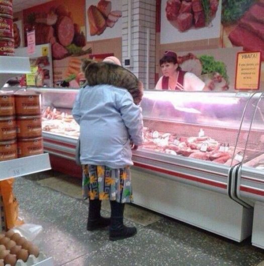 Гринписавка