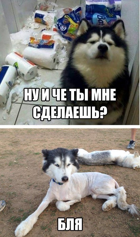 Преступление и наказание