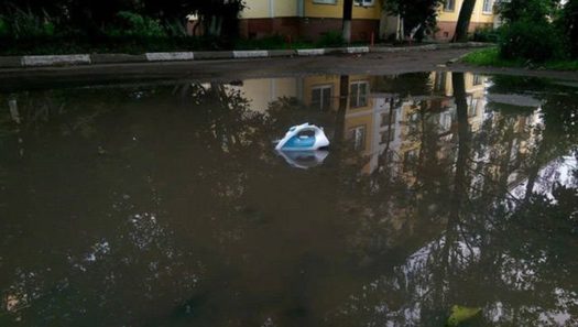 моргинти