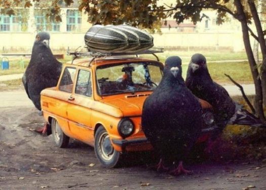 чоткастьw